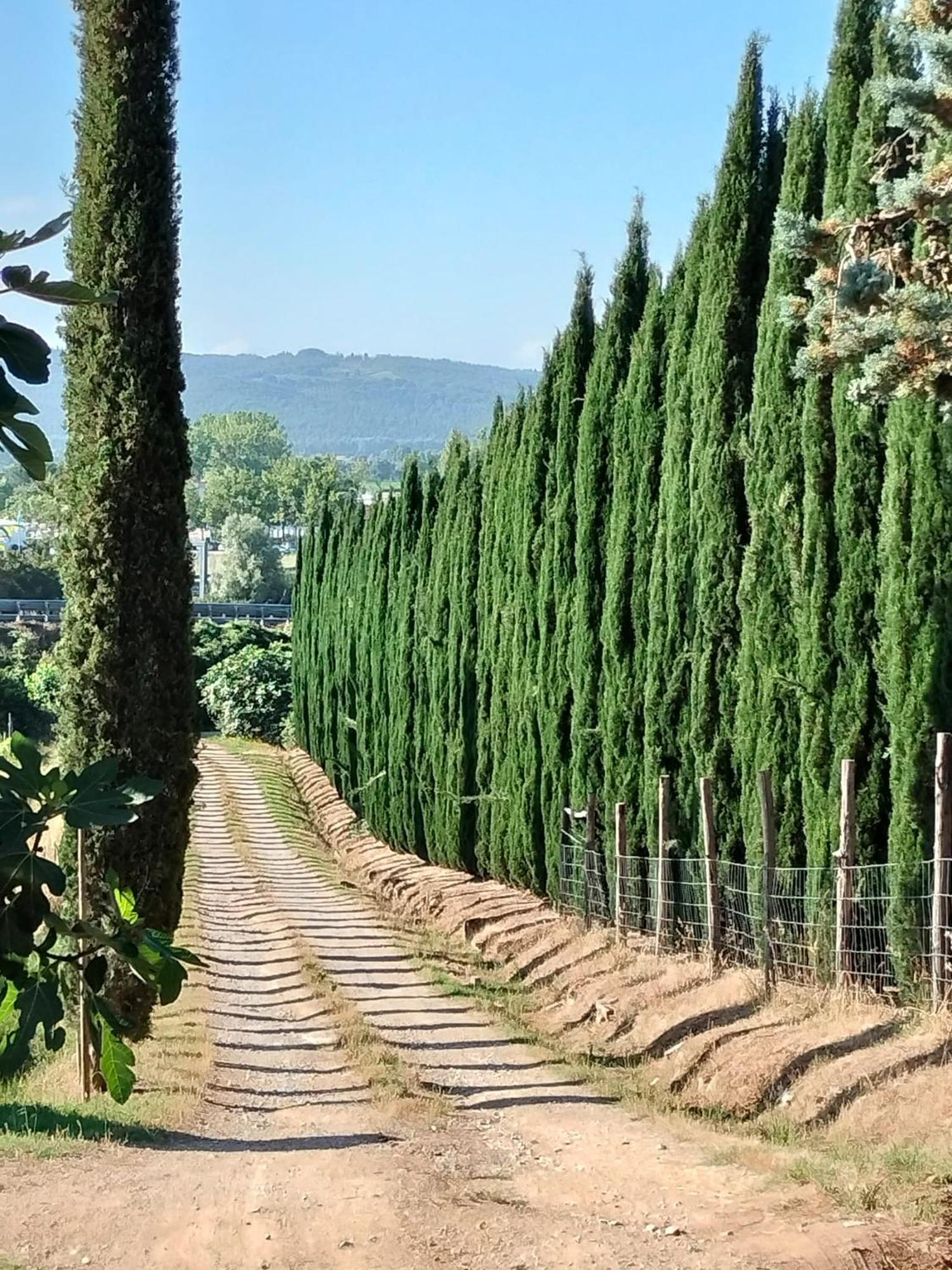 Camugnano Farm Villa Rapolano Terme Ngoại thất bức ảnh