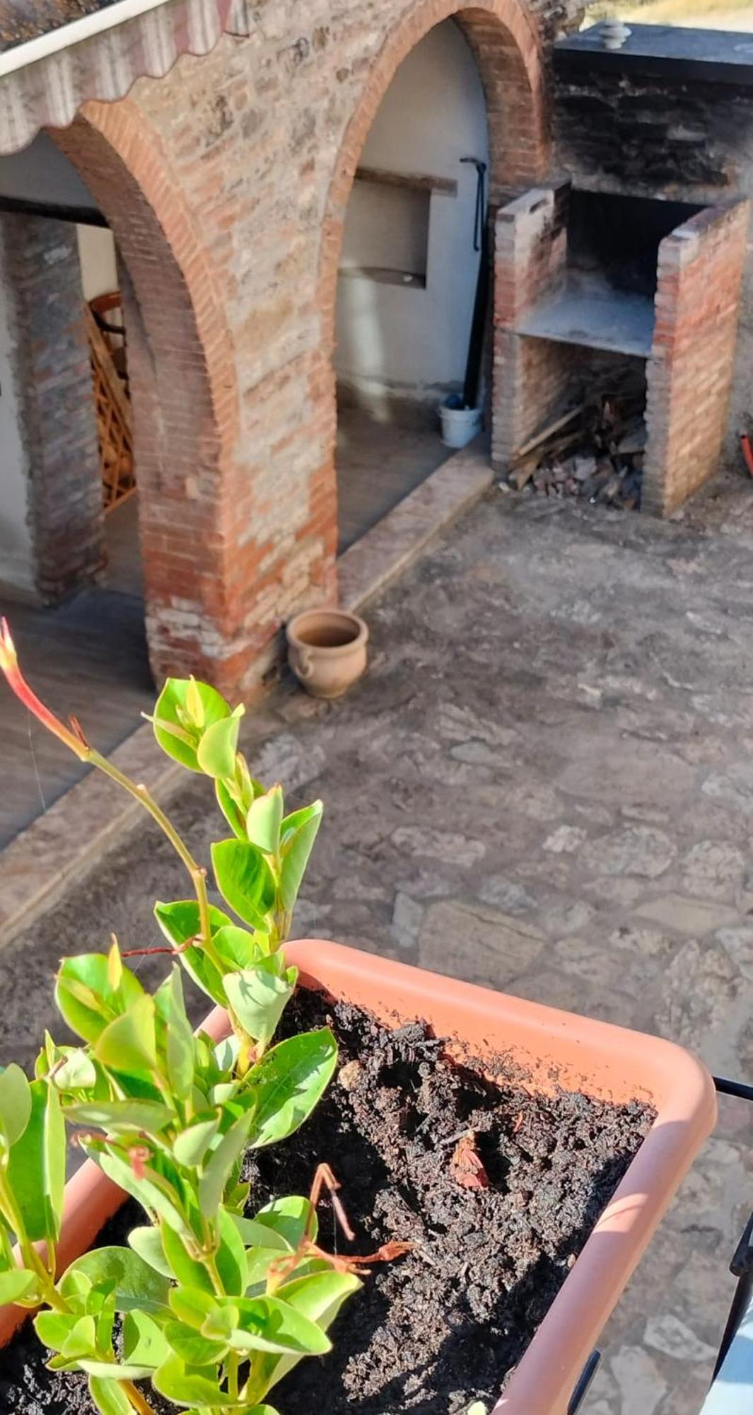 Camugnano Farm Villa Rapolano Terme Ngoại thất bức ảnh